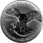 Kleines Bild von 1oz Canada Birds of Prey 2014 silver - Peregrine Falcon