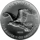 Kleines Bild von 1oz Canada Birds of Prey 2014 Silber - Bald Eagle