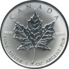 Kleines Bild von Maple Leaf 1995 1oz Silber