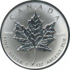 Kleines Bild von Maple Leaf 2019 1oz Silber